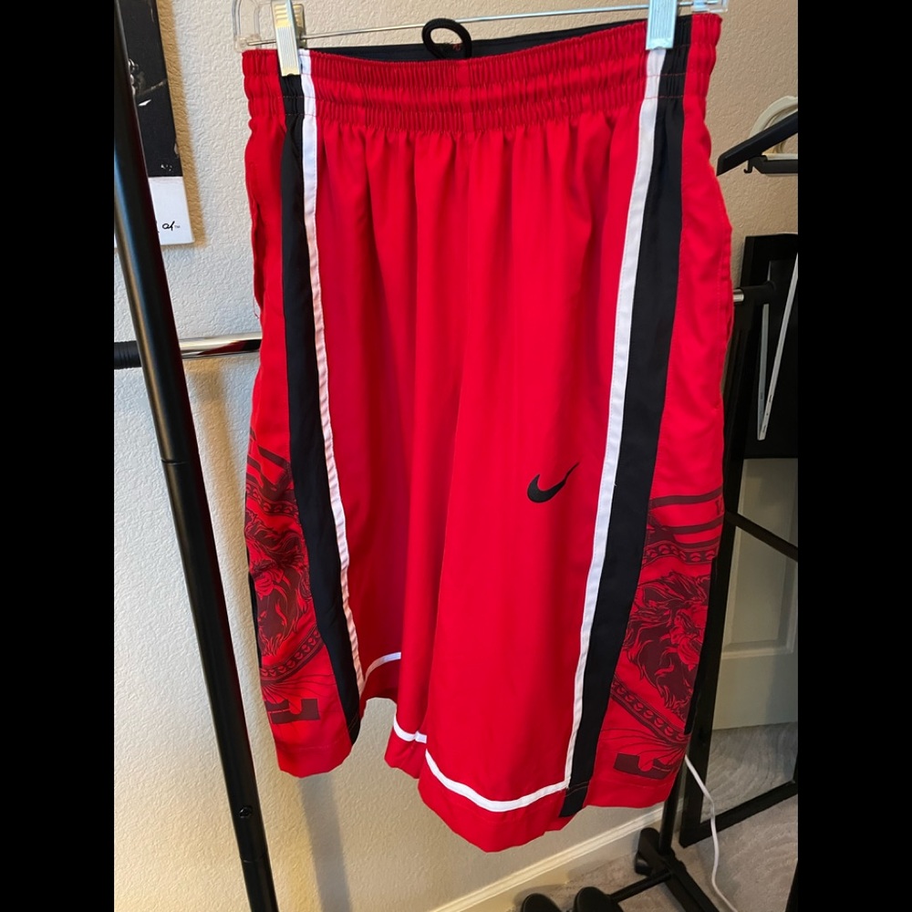 Lebron James Nike  dri-fit shorts